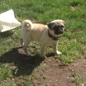 Meet your Posher, Ronna